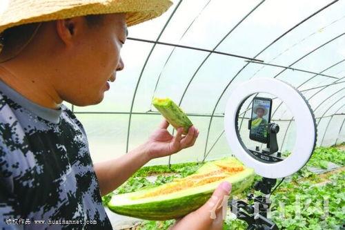 卖吃瓜视频还违法吗现在,揭秘卖吃瓜视频可能触犯的法律风险