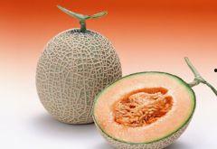 吃哈密瓜冰镇视频,哈密瓜冰镇，清凉一夏的甜蜜享受