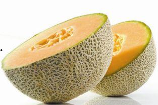 侯哥吃哈密瓜视频播放,视频播放背后的甜蜜故事