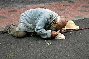 乞丐吃瓜被打死视频,引发社会关注与反思