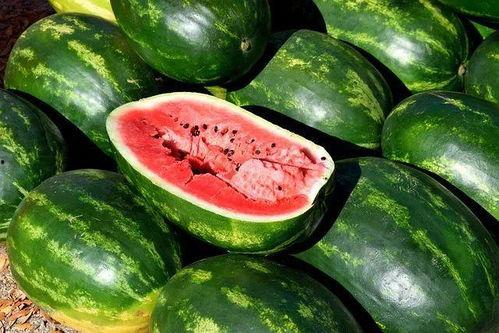 棱瓜太熟好吃吗怎么吃视频,多样吃法解锁营养美味
