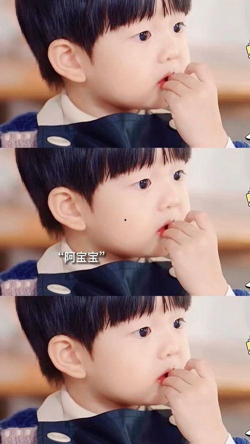 吃瓜人类幼崽视频,揭秘吃瓜人类幼崽的萌趣瞬间