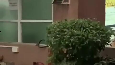 交城新闻吃瓜视频回放在哪里看