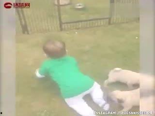 盘点搞笑吃瓜的场面视频,盘点那些让人捧腹大笑的搞笑吃瓜瞬间