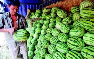 陕西跳舞吃瓜视频大全,跟着视频一起“吃瓜”狂欢