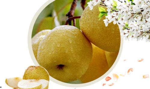 五月份吃酥瓜好吗视频大全,解锁夏日清爽新吃法