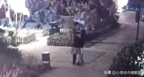 定州开元吃瓜事件视频曝光,视频曝光引发网友热议