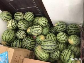 西汉吃瓜视频大全集,穿越千年，一窥西汉宫廷生活百态