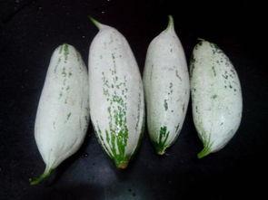 宜兴吃瓜视频最新消息曝光,揭秘事件背后惊人真相！