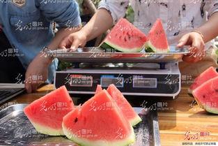 山东姐弟吃瓜视频大全,揭秘乡村生活趣味瞬间