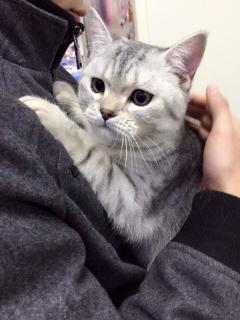 吃瓜短视频素材合集,吃瓜短视频素材合集大揭秘